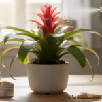 découvrez nos conseils essentiels pour entretenir votre bromelia et profiter d'une plante en pleine santé toute l'année.